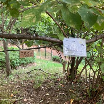 住宅街の片隅の丘、山ではないと思う