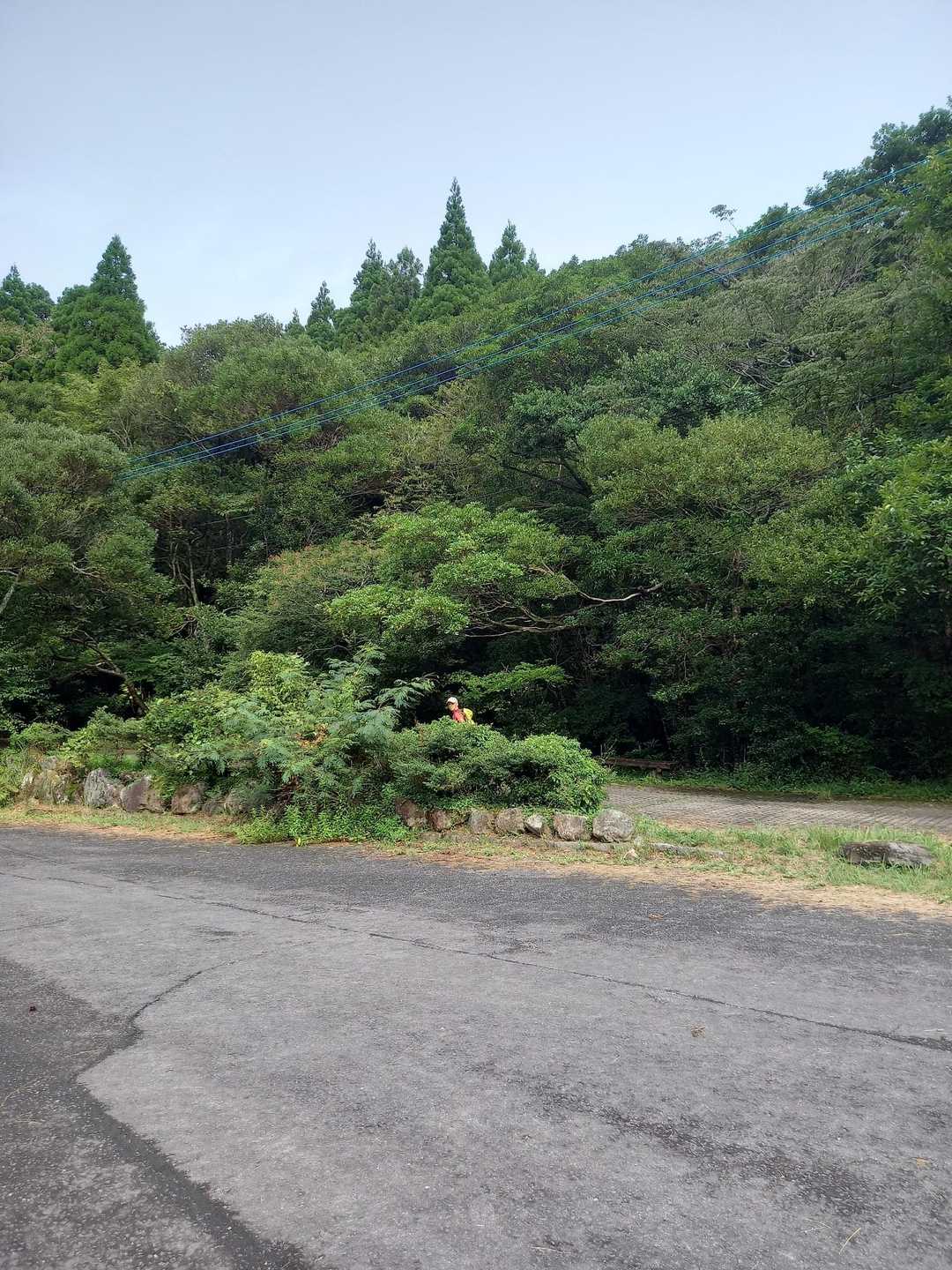 さてボチボチ歩きます