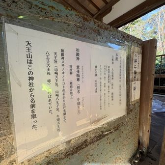 準備をしていた方が神社のことや天王山のことなど歴史についていろいろ話してくれました。めちゃくちゃ感謝です。