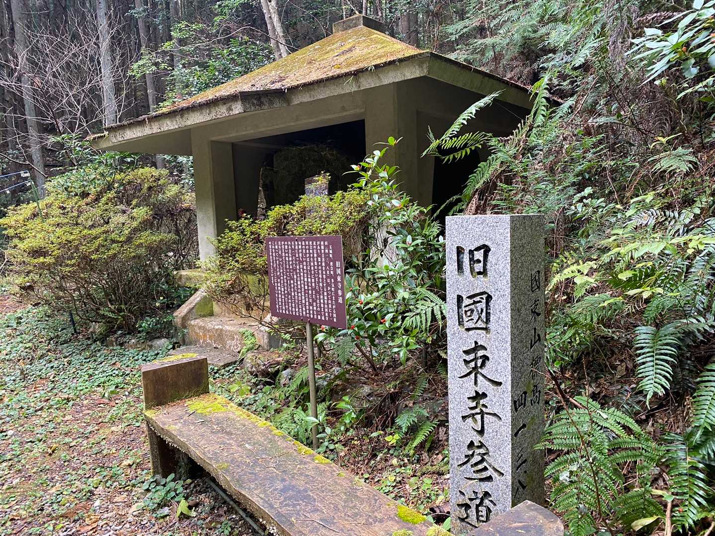国束山 往復コースの写真