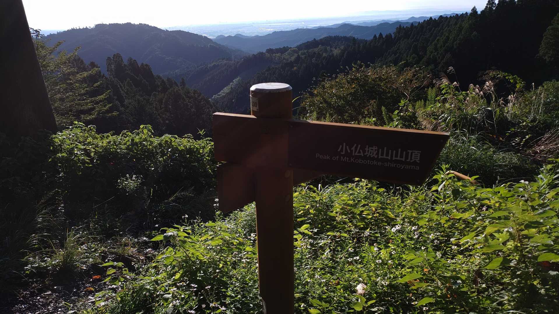 ここからは山頂まですぐ🙌