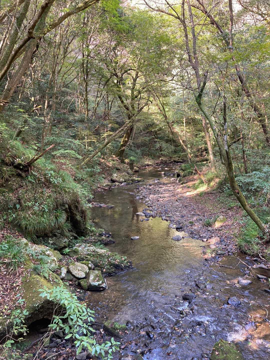 皇都川