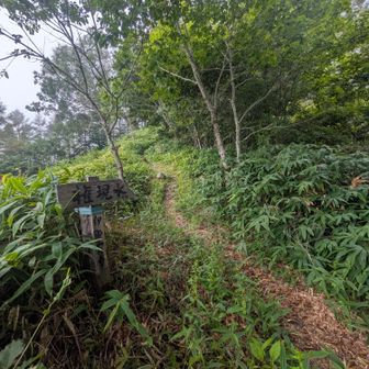権現水も草ボーボーで行けません？