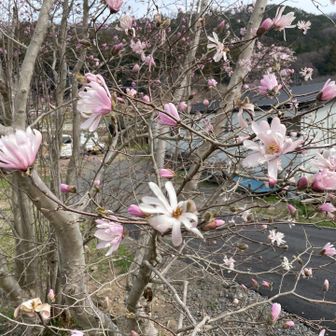 下山しました。