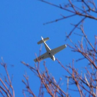 上空を小型単発機がかすめていきました
音が特徴的だなと思いましたが、後で調べてみると機体はビーチクラフト36ボナンザでエンジンはレシプロの水平対向6気筒ターボチャージャー付でした