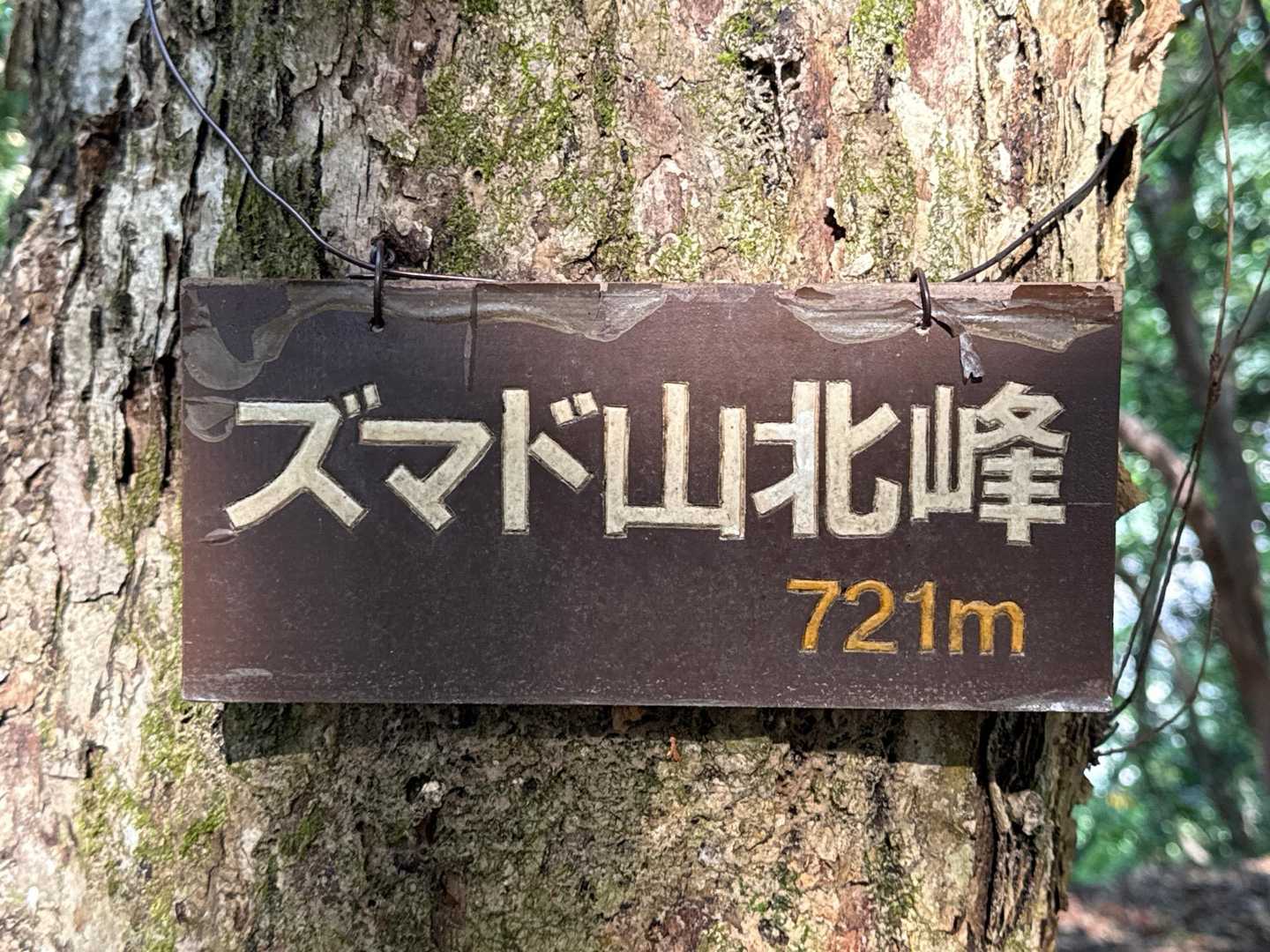 頭窓山北峰登頂721m