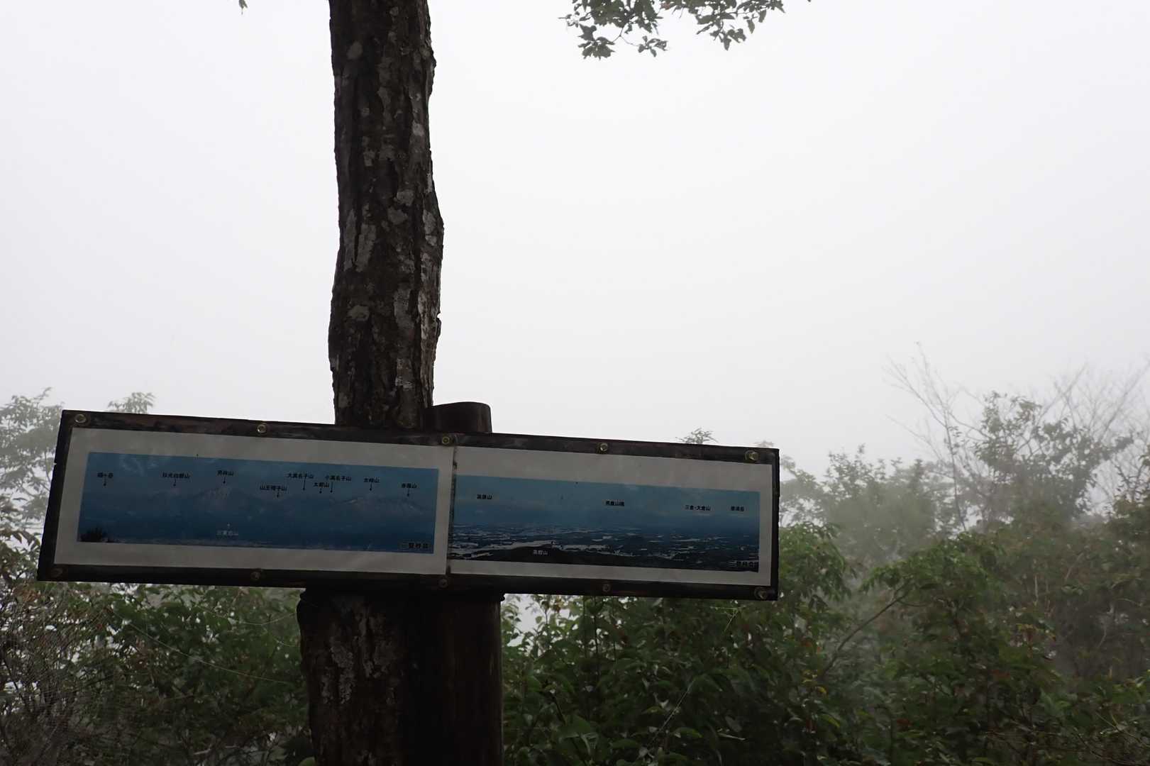 景色は…ガスガス☁️
低山でここまでのガスガスは久しぶり🙄

なんて感じで気分が乗らず下山⤵️
