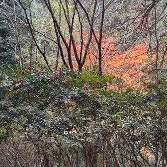 愛宕山から降りた所