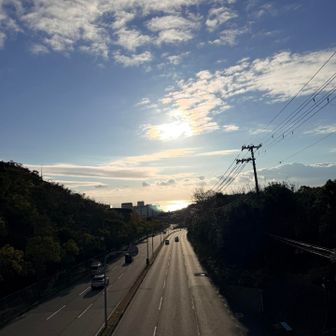 だんだん陽も登ってきた