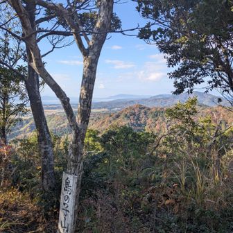 鳥ノ子山山頂。