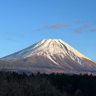 sakusaku