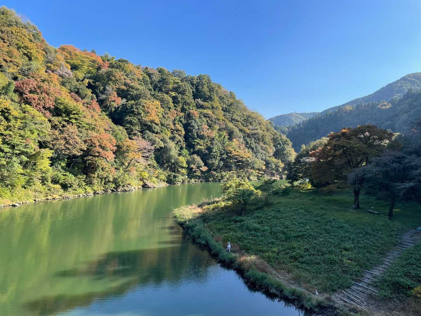 ワニに食われるよ。