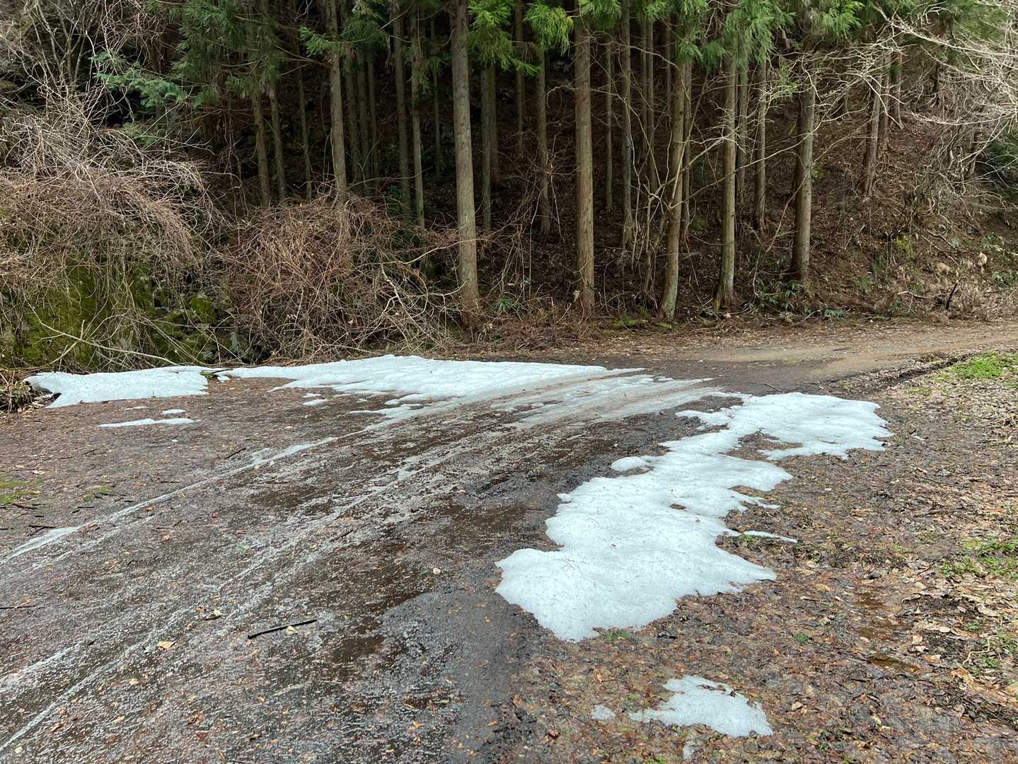 林道に雪😳