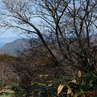 このような感じで京羅木山は枝に遮られます