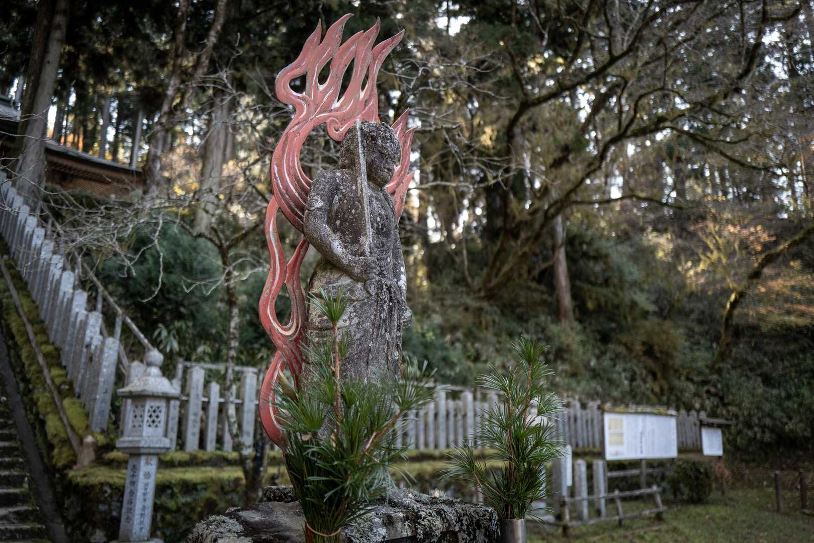 山のおもてなし｜赤坂古道をゆく金剛山満喫登山の写真
