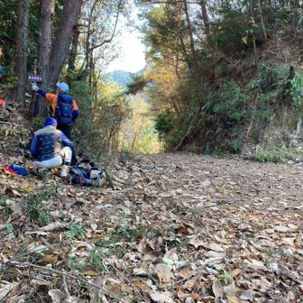 伐採の為にか、林道が整備され全く様子が変わってました。😮
登山路要注意。道標在り。🪧
