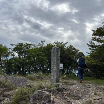 神社からちょっと下がったところに山頂標識