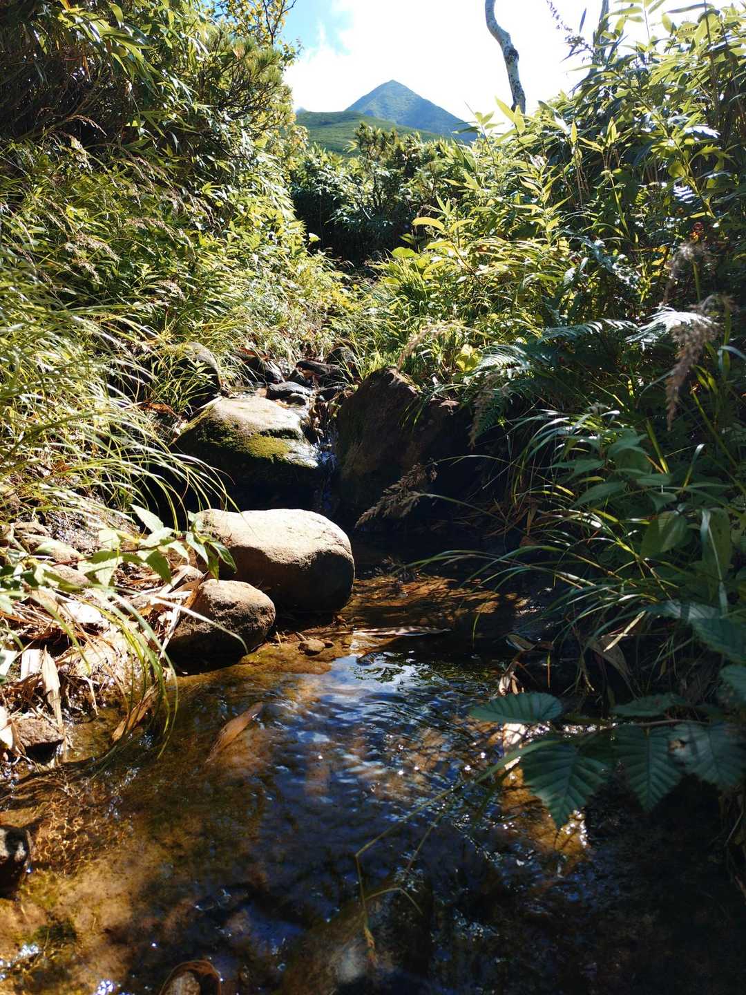 大雨の影響で
避難小屋の辺りまで水たまりや小川が多めでした💧