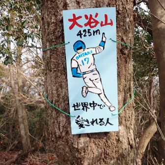 続く大谷山
まさかとは思っていたのですが、やっぱりあるんだー