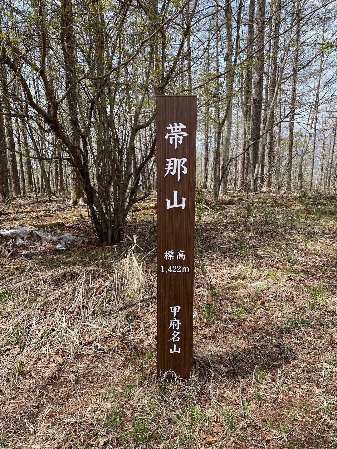 帯那山登山道入口-帯那山 往復コースの写真