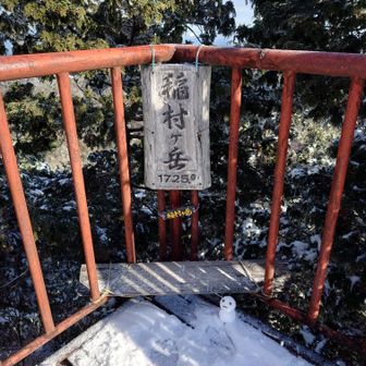 稲村ヶ岳登頂です
1年ぶりですね👍️
今年は初めて😅