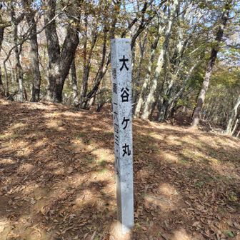 手前の米背負峠から急登（こめしょいとうげ）を経て、大谷さーん（おおやがまる）