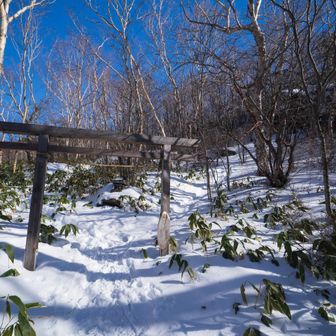 里宮。まだ雪が少なく笹がたくさんでている