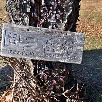 三角点標示板
基準点名 「三岳村」