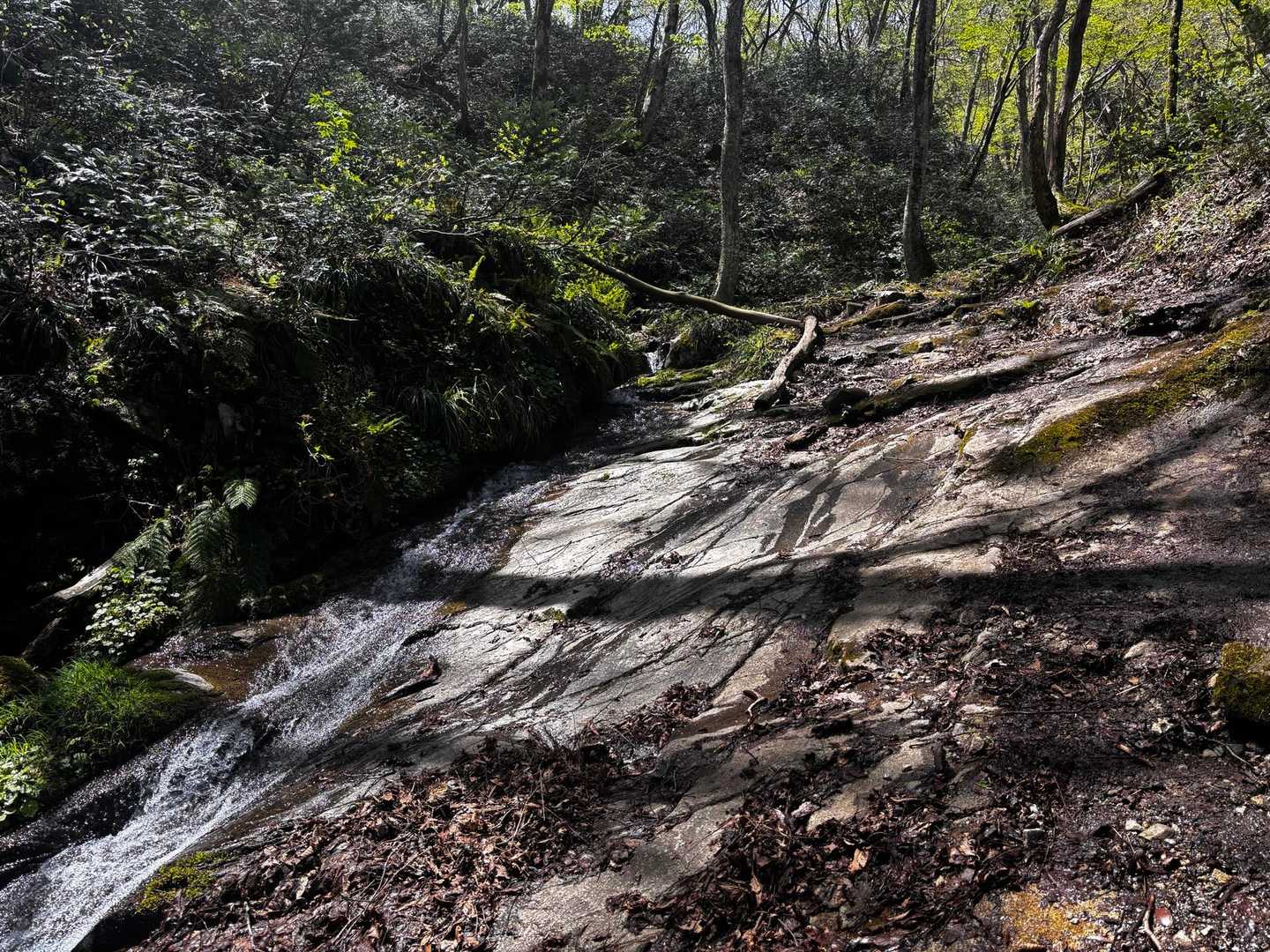 鳥上滝コース登山口-船通山 往復コースの写真