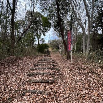 かなり前に「山あげ祭り」で来た時に
歩いたことがあるが、こんなに
階段があったかな〜と思いながら💦⬆️