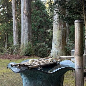 いい音が響いてると思ったらこの子でした
癒される音✨