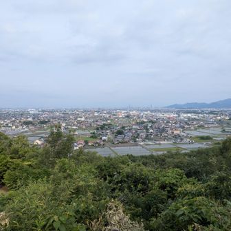 西