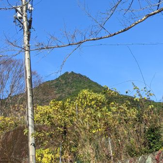 下山後、麓の熊野古道から天狗倉山を見上げます👀