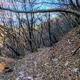 ちょっと足元が平和になった😂