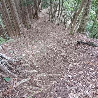 天狗ヶ城の分岐に戻ってきた。急下りなので、滑らないように慎重に下ります。