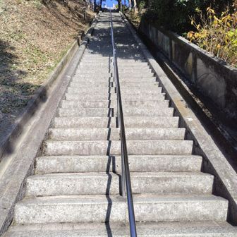 男山といえば
198段の階段💥