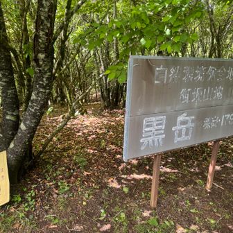 黒岳