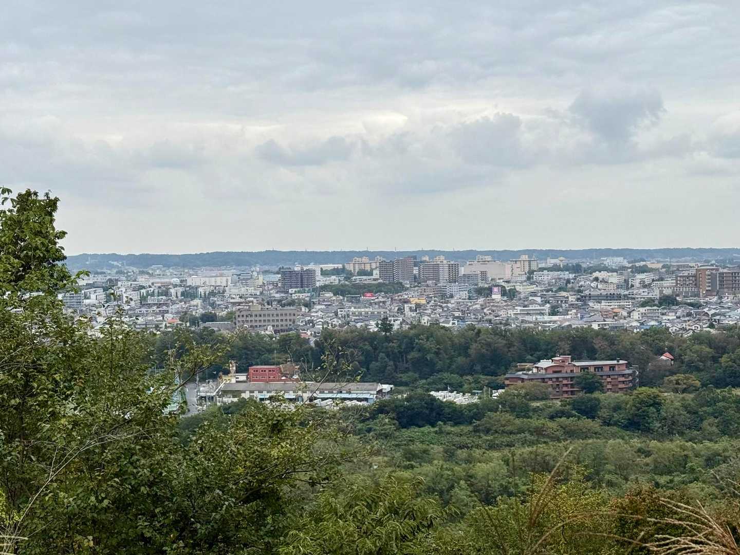 大澄山 山頂からの眺め
ค(" ॑‎ࠔ ॑")