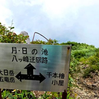 なぜか足の痛みが和らいできた...😅
鎖でずっと戻るのは大変と思い、帰りは迂回ルートへ🚶‍♀️