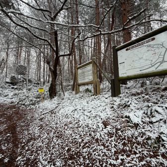 今日はこちらから降りる
ここの駐車場方面は一応冬季閉鎖