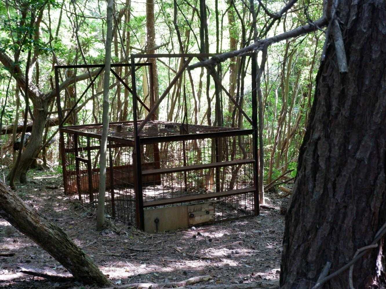 リアル猪🐗用の檻