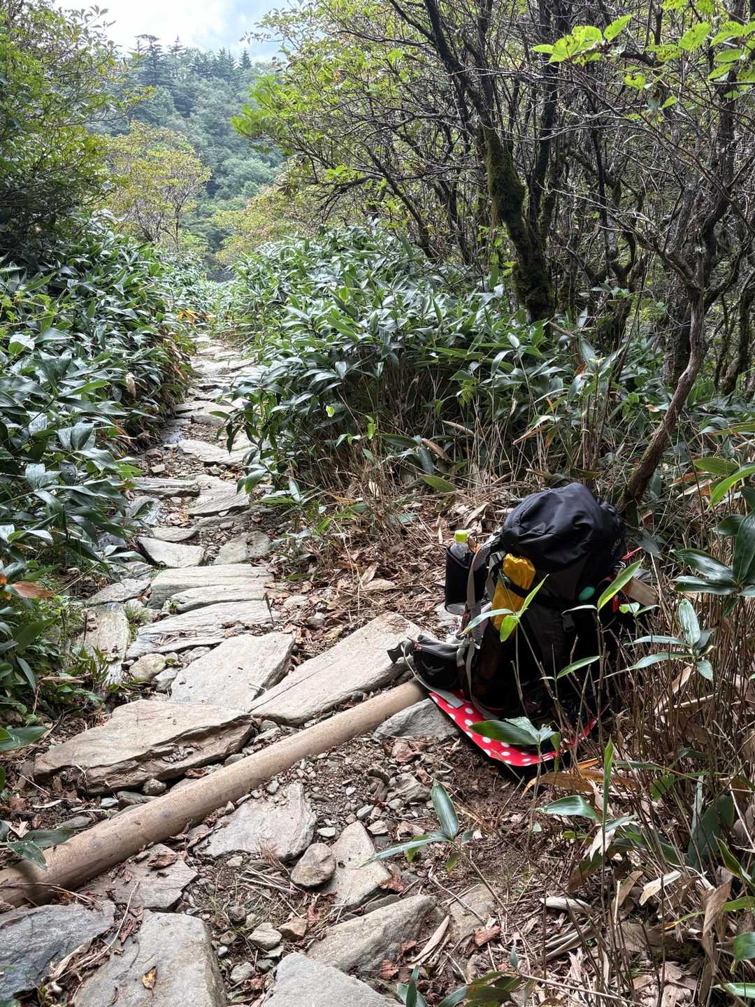 ただいま。重いザックはお留守番