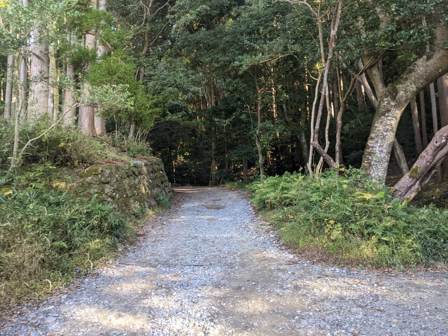 色々端折りましたが登山口です
軽装の人も多くて安心☺️