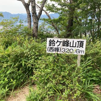 せいほー🪧