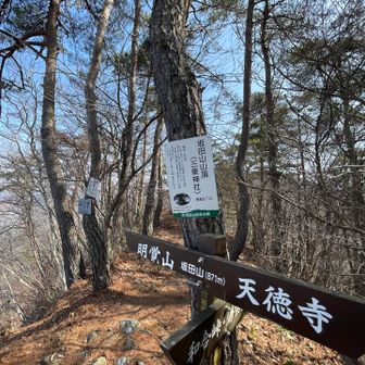 坂田山 とうちゃく🙌