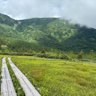 きれいな樹々、草花