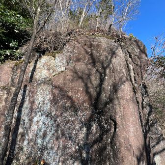 コレが蓬莱岩？
どれがそうなのかわからず…