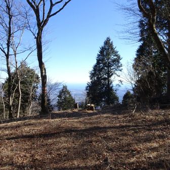 ベンチに先客がいたので切り株で休憩