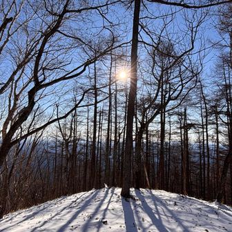 地蔵岳山頂
山名版撮り忘れ🤦‍♂️