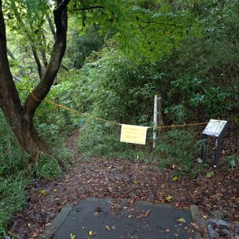 トイレのついでにダメ元で阿部倉登山口を見に行くけど、やっぱり通行止め🚧
